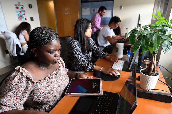 Undergraduates studying